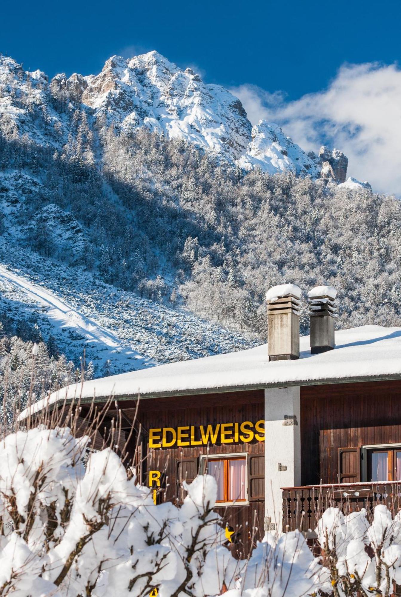Hotel Edelweiss Con Ristorante Note Di Gusto Forni di Sopra Esterno foto